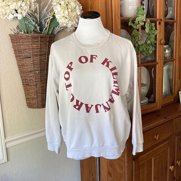 Zara Cropped Graphic Crewneck Long Sleeve Sweatshirt Size Large - Picture 1 of 11